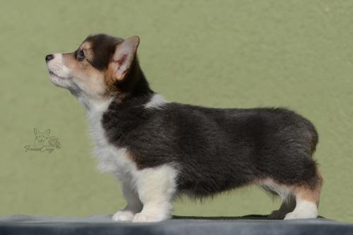 27035015 8350eb9fe16e7b65fc51965f6b2d9a91 xl