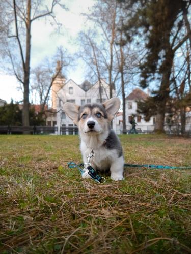 27046137 ce2c02c62111150b2483996d270b4116 xl