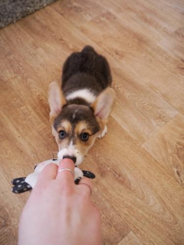 27046145 44ab44762ab4f20daf39d8b5ab56c672 xl