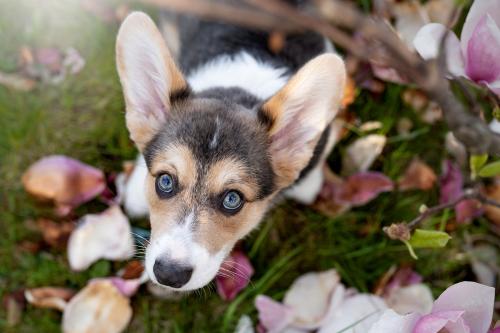 27061741 c7418f9f420b35827696522eb976fd37 xl