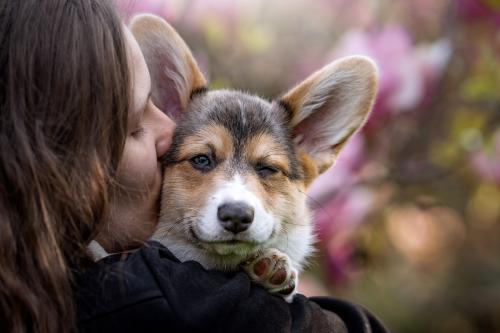 27061743 20d575d759b8ae764b6d5719df3cd804 xl