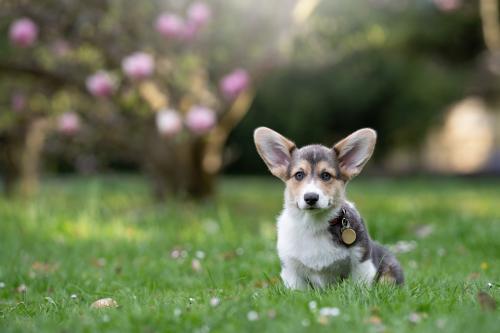 27061745 6310dfcfc31ad84a109d480c5dec2e62 xl