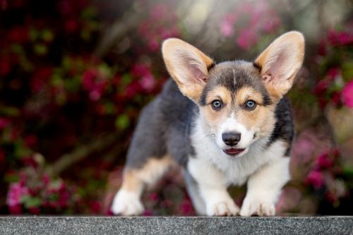 27061749 14ddbc11e27939e4051b5cf2dbefbcf3 xl