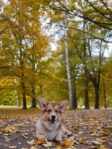 27130224 09816f78068103e8088ca912925f1600 xl