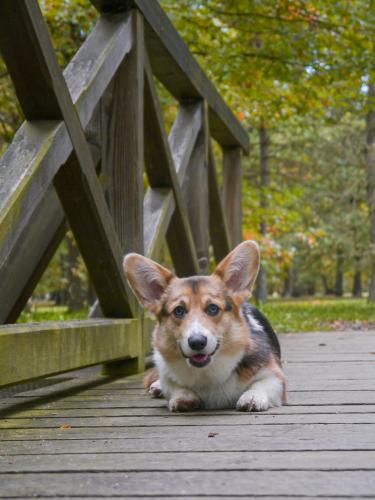 27130226 c99f1395a97733151dfac2c541072080 xl