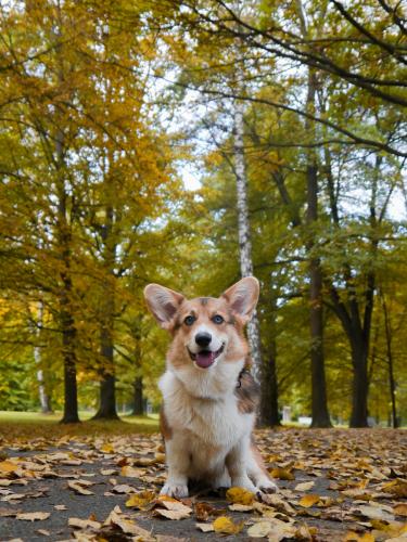 27130228 458e755c1fd59e9bf1899087355cf3ad xl