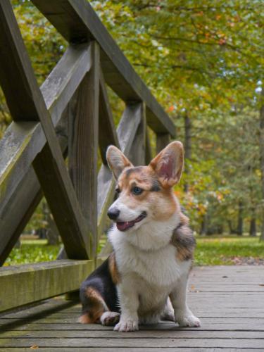 27130232 9bc5a7390d65c8c95b13f0ef5e316525 xl