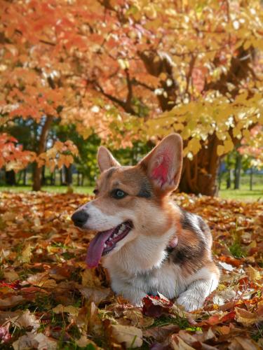 27130234 d791ce1d573ba62b5742413eb95f0e22 xl