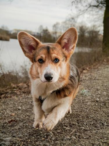 27176554 086c3a812c2ca0755e0ee5f9c2f4239d xl