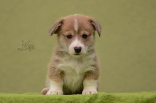 27028795 65df724e311bf3d99f288035395d906e xl