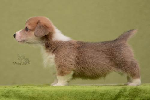 27028797 640ac6003fdc255d98db8302d9efd69e xl