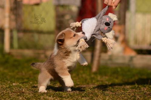 27029669 36013132ab3be6b10e948d3bfb21a8a3 xl