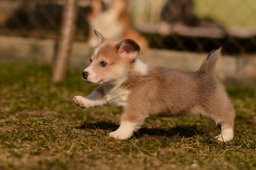 27029671 0023102067a7780d96f7100abef2528d xl