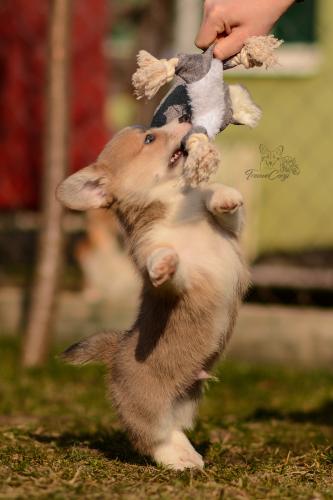 27029673 90a787c8f5eb54a93c7b8c590733cfe1 xl