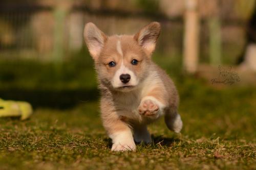 27029675 b5d41baebbe02f64100287f8fdd1ae63 xl