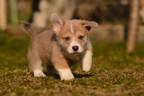 27029679 76bd887782ae5f234f65d4d0e97eb5ed xl