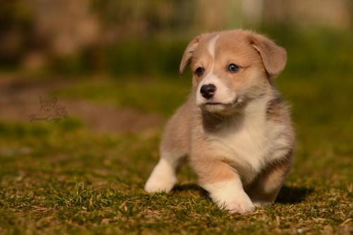 27030261 c54812df4d286bb6ad74ec09a685c552 xl