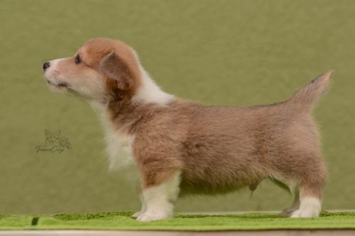 27031063 700716821016b7f0ab7d8d8641aec325 xl