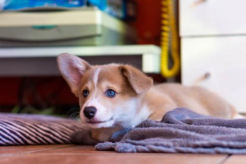 27034967 6446352cd69fbc0cb214eea91d25275e xl