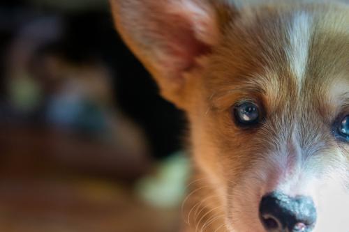 27034981 bcfbcbbbd2fa7fe93e8d68f27f653168 xl