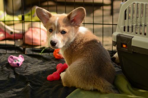 27034987 2b6fbfba43e9e3960eda013f160f335c xl