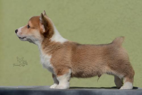 27035025 5f97cb796169d6f3b3dabff3f39abb19 xl