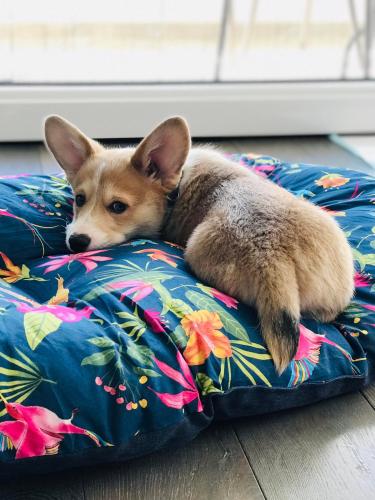 27046167 40284cf86c6823fb1c5ee4fd966335b4 xl