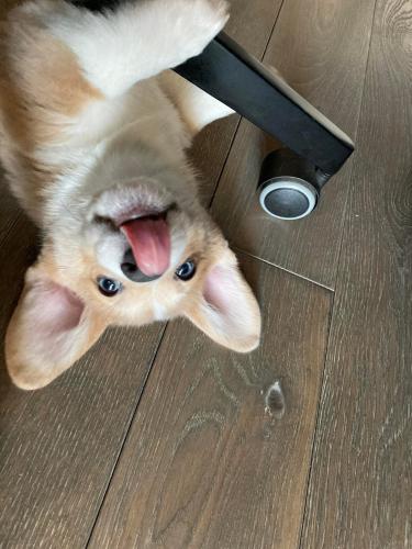 27046169 a8ae7c12f06191e70fe397c7ca15a97b xl