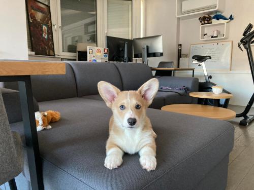 27046171 386cd964711a7ab165e2d4fbfc651630 xl