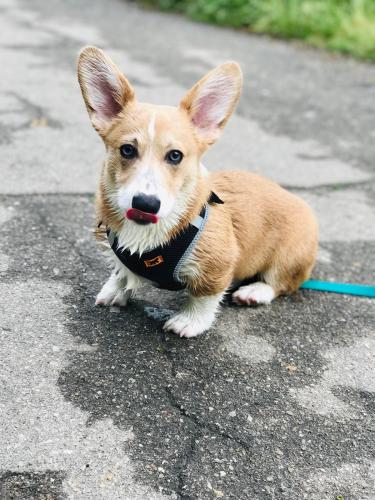 27080919 7d23716132c6be1e36472777e1d350f8 xl