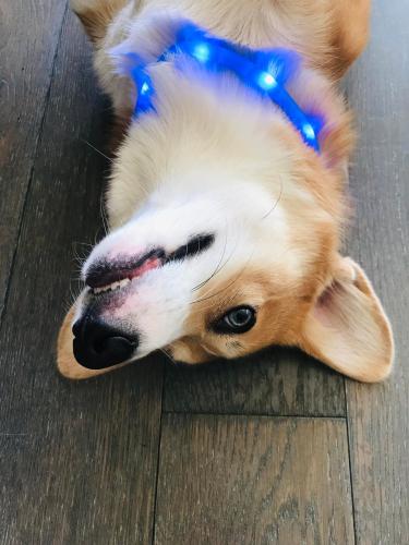 27139154 fcf10203bd4d216e0af945503799b797 xl