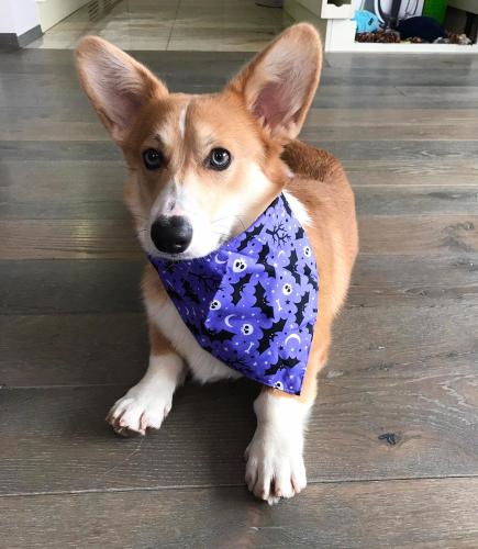 27139156 8ad19ab90b2d5946e7e8d31ce6080935 xl