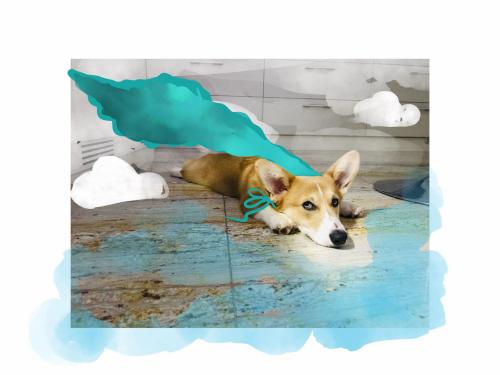 27139158 f085901ec4d1743cb19d239648ad2d9a xl