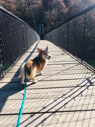 27139164 5e10e9d74e4457f6dd1819185010a7d1 xl