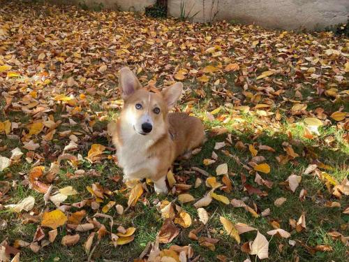 27139166 aa77d9b261150127650fc856df21bda6 xl