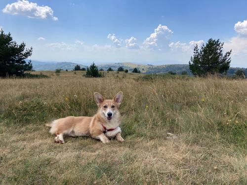 27139214 05549860dc0a629a1a5404a49170cd2e xl