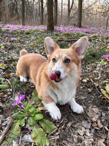 27176548 1c76d424e3654d0cf1a7e54127a0e0b6 xl