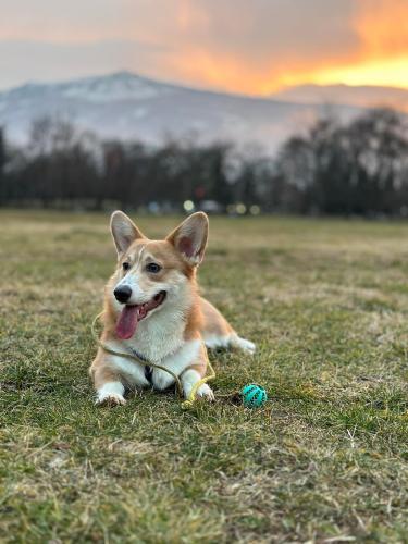 27176550 de9584341927809c2872e1f165ebf73c xl