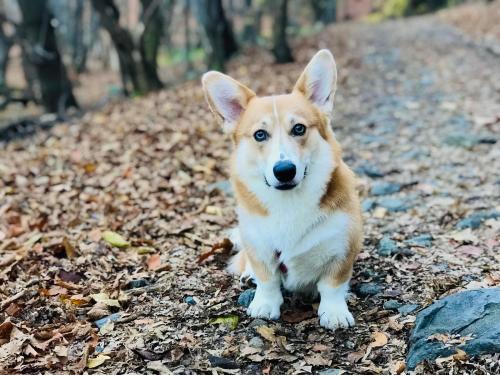 27176552 dd428dddf3cd0a65da63767e8387d5dd xl