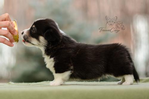 27022287 2faeb1d0efb9860824f69d4a1cf36a15 xl