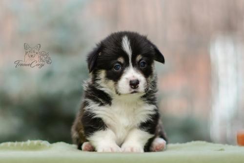 27022289 33a2872d3bcbd233918e6758879a7dd7 xl