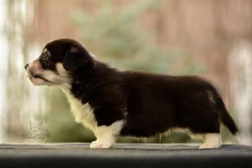 27024151 73bd0a9288401f0ccf2aed786130a313 xl