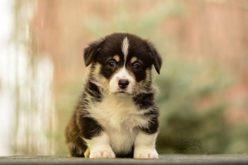 27024155 e1b412b61404e9a5c852ed2715987069 xl