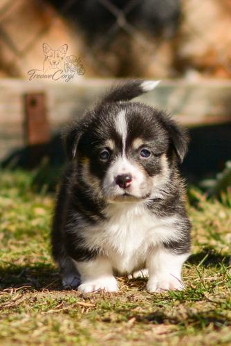 27024191 60e1306789baf1a617175dee7edf5c7b xl