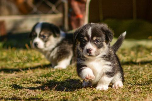 27024197 a90a99e745b5018b7b261165deeebc51 xl