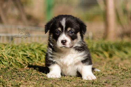 27024213 32e030dd5a86a6b24fbde72e8de12a32 xl