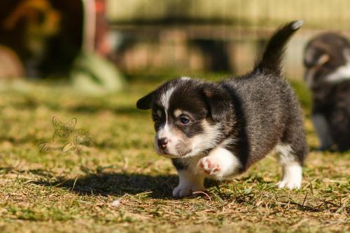 27024237 43b096e398226b1ea470a7a9b3d8abc9 xl