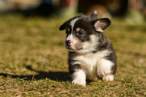 27024243 b7d4543a46952e84858850f21dfb16a4 xl