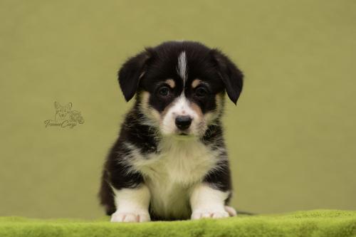 27028769 1c679222a2c881a99ade87e1d3368309 xl