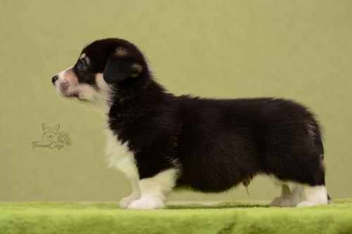 27028773 ae30aa66e28d3ddd7018c643387ea73b xl